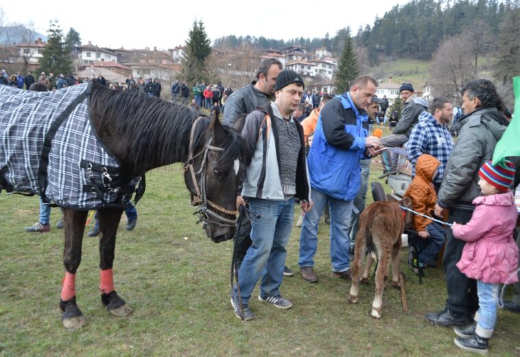НА ТОДОРОВДЕН Много коне и зрители в Копривщица