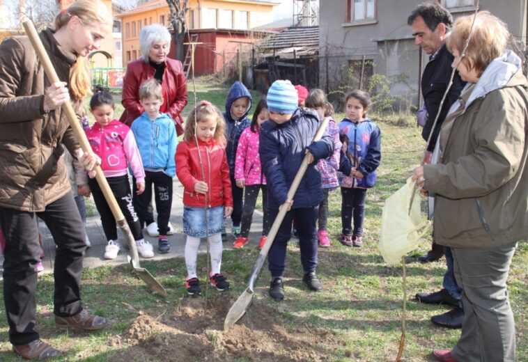 ДЕЦА И СЛУЖИТЕЛИ НА ДГС – ПИРДОП   Засадиха заедно дръвчета