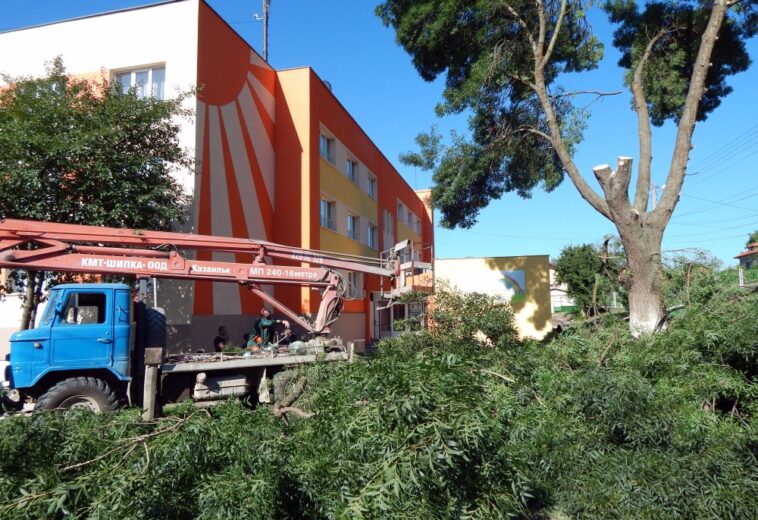 В МИРКОВО И ПИРДОП  Мълнии поразиха дърво в детска градина и стопаннки сгради