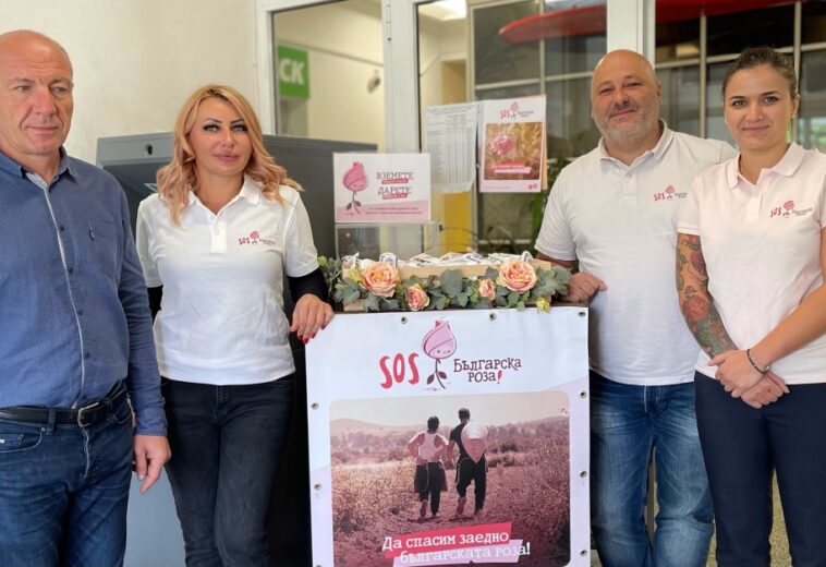И ОБЩИНИТЕ ПИРДОП И ЧЕЛОПЕЧ   Подкрепиха кампанията „SOS Българска роза“